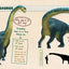 Dino Dana: Dino Field Guide by J.J. Johnson