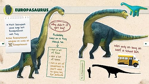 Dino Dana: Dino Field Guide by J.J. Johnson