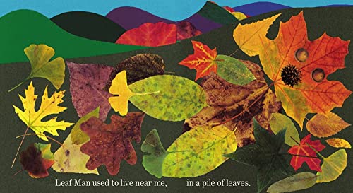 Leaf Man Board Book