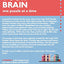 Logic Grid Puzzles: Word Games for Brain Training
