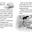 Campfire Stories (8) (Desmond Cole Ghost Patrol)