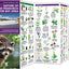 Nature of San Francisco & the Bay Area: A Folding Pocket Guide to Familiar Plants & Animals (Wildlife and Nature Identification)