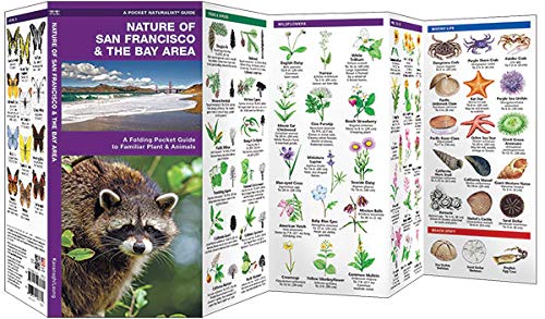 Nature of San Francisco & the Bay Area: A Folding Pocket Guide to Familiar Plants & Animals (Wildlife and Nature Identification)