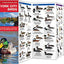 New York City Birds: A Folding Pocket Guide to Familiar Species in the Metropolitan Area (Wildlife and Nature Identification)