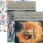 The Longman Anthology of British Literature, Volumes 2A, 2B, and 2C (4th Edition)