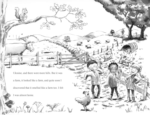 Katerina the Cat and Other Tales from the Farm: A new collection in the childrens illustrated animal adventure series (A Farms for City Children Book)