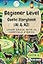 Beginner Level Gaelic Storybook (A1 & A2): Learn Gaelic with 25 Fairytale Stories (Learning Gaelic with Ease) (Scots Gaelic Edition)