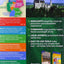Lonely Planet Discover Germany (Full Color Country Guides)