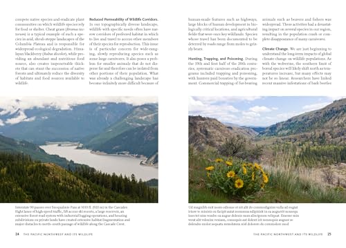 Wildlife of the Pacific Northwest: Tracking and Identifying Mammals, Birds, Reptiles, Amphibians, and Invertebrates (A Timber Press Field Guide)