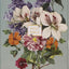NIV, Artisan Collection Bible, Large Print, Leathersoft, Sage Floral, Red Letter, Comfort Print