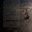 Horse, Follow Closely: Native American Horsemanship (R) (CompanionHouse Books) Traditional Methods of America's First Great Horsemen; Understand Your Horse and Create a Bond with Relationship Training
