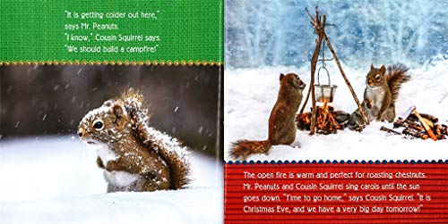 Merry Christmas, Squirrels!