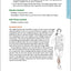 Running Anatomy