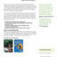 Software Testing