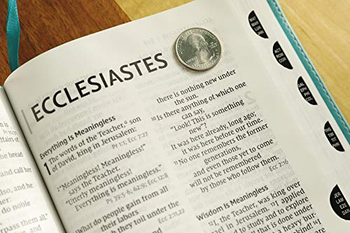 NIV, Personal Size Reference Bible, Large Print, Leathersoft, Teal, Red Letter, Thumb Indexed, Comfort Print