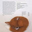 Making Needle-Felted Animals: Over 20 Wild, Domestic and Imaginary Creatures (Crafts and family Activities)