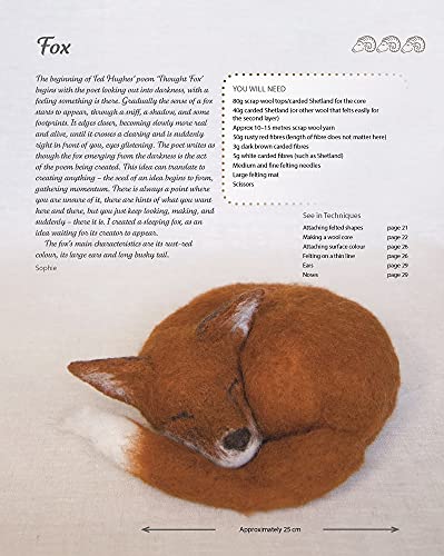 Making Needle-Felted Animals: Over 20 Wild, Domestic and Imaginary Creatures (Crafts and family Activities)