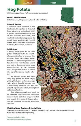 Wild Edible Plants of Arizona