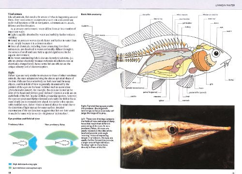 Manual of Fish Health: Everything You Need to Know About Aquarium Fish, Their Environment and Disease Prevention — back cover