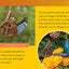 Animals That Change Color (National Geographic Kids Readers, Level 2)