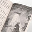 Light in the Lions' Den (AIO Imagination Station Books)