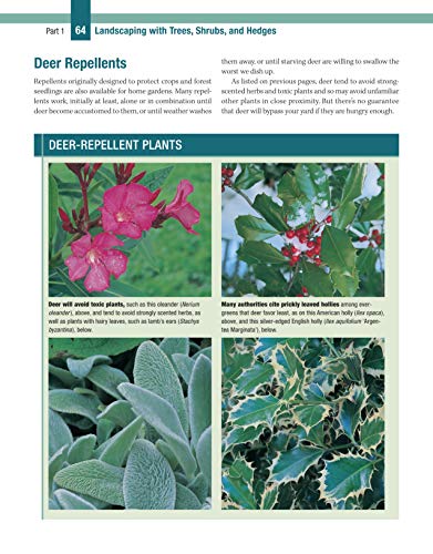 Trees, Shrubs & Hedges for Your Home: Secrets for Selection and Care (Creative Homeowner) 1,000+ Plant Descriptions and 550 Photos - Design Your Landscape and Enhance Your Outdoor Space (Landscaping)