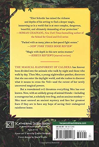 The Lost Rainforest #1: Mez's Magic