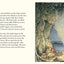 Adventures in Brambly Hedge: The gorgeously illustrated childrens classics delighting kids and parents for over 40 years!