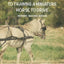 Step By Step Guide To Training A Miniature Horse To Drive: Second Edition