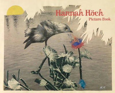 Hannah Hch: Picture Book