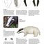 Making Needle-Felted Animals: Over 20 Wild, Domestic and Imaginary Creatures (Crafts and family Activities)