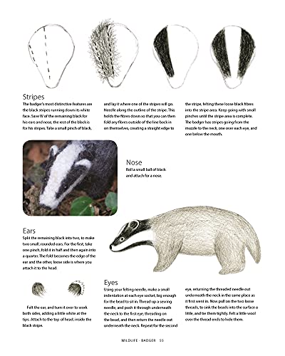 Making Needle-Felted Animals: Over 20 Wild, Domestic and Imaginary Creatures (Crafts and family Activities)