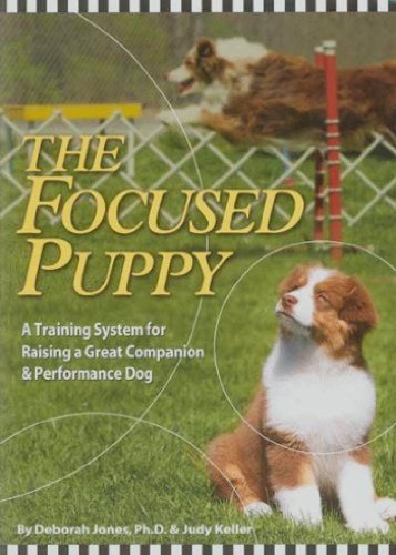 The Focused Puppy