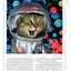 A Cat's Tale: A Journey Through Feline History by Koudounari