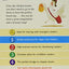 Chicken on Vacation (I Can Read Level 1)