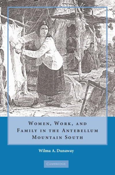 Women, Work and Family in the Antebellum Mountain South (English and English Edition)