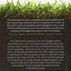 Earth Matters: How soil underlies civilization