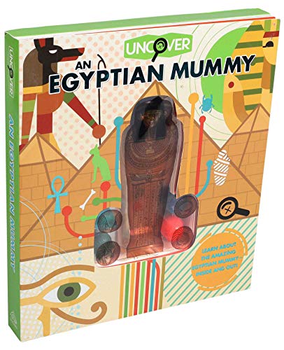 Uncover an Egyptian Mummy