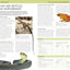 Nature Guide: Snakes and Other Reptiles and Amphibians: The World in Your Hands (DK Nature Guides)
