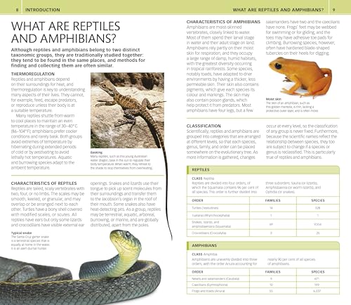 Nature Guide: Snakes and Other Reptiles and Amphibians: The World in Your Hands (DK Nature Guides)
