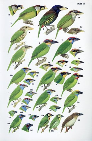 A Guide to the Birds of Southeast Asia