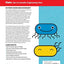 Zero to Genetic Engineering Hero: The beginner's guide to programming bacteria at home, school, & in the makerspace