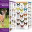 South Carolina Wildlife: A Folding Pocket Guide to Familiar Animals (Wildlife and Nature Identification)