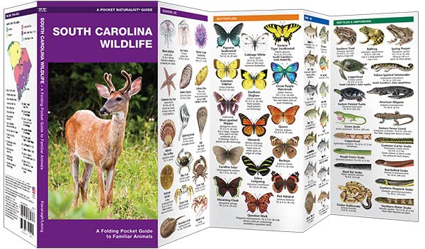 South Carolina Wildlife: A Folding Pocket Guide to Familiar Animals (Wildlife and Nature Identification)