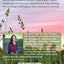 Cultivating the Doula Heart: Essentials of Compassionate Care