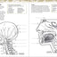 The Human Body Coloring Book: The Ultimate Anatomy Study Guide (DK Human Body Guides)