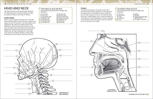 The Human Body Coloring Book: The Ultimate Anatomy Study Guide (DK Human Body Guides)