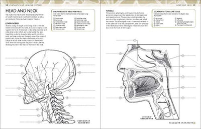The Human Body Coloring Book: The Ultimate Anatomy Study Guide (DK Human Body Guides)