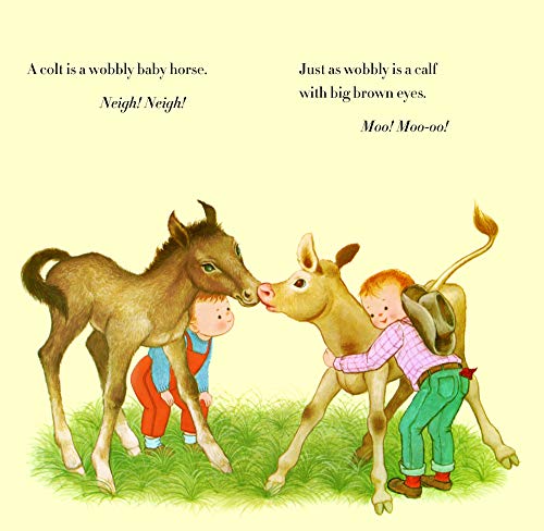 Baby Animals