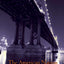 The American Nation: A History of the United States, Combined Volume (14th Edition)